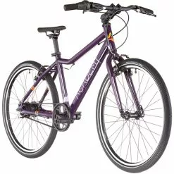 ACADEMY Grade 5 Belt 24" Kinder Lila