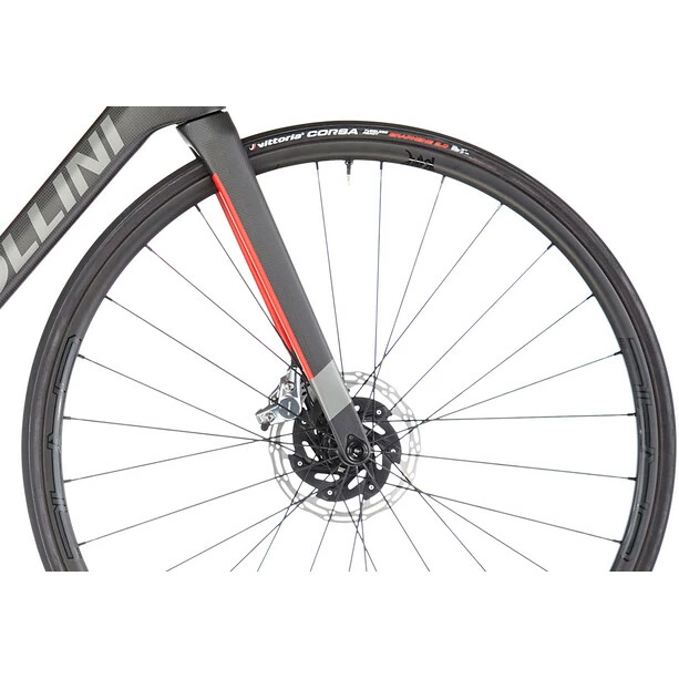 Cipollini Dolomia AXS 5 Cipollini Dolomia AXS – Bild 3