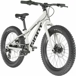 Giant STP 20" Kinder Silber