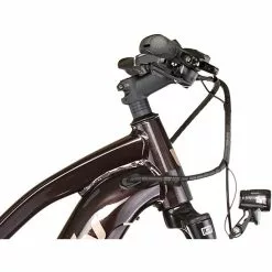 Liv Amiti-E+ 2 Damen Braun 10 Liv Amiti-E+ 2 Damen Braun -Cube Fahrradladen liv amiti e 2 women rosewood 2