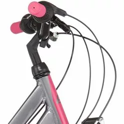 S'cool ChiX Twin Alloy 24 21-S Kinder Grau/pink 10 S'cool ChiX Twin Alloy 24 21-S Kinder Grau/pink -Cube Fahrradladen scool chix twin alloy 24 21 s kinder blackberry 2