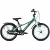 S'cool XXlite EVO 16 Kinder Grün/blau -Cube Fahrradladen scool xxlite evo 16 kinder green metalic aqua matt 1