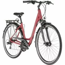 Winora Domingo 21 Wave Rot